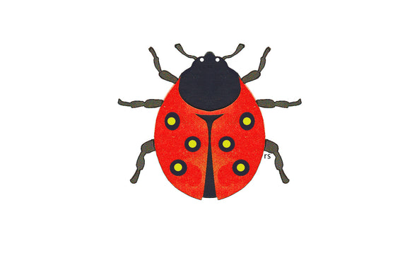 Ladybug