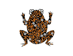 Fire Bellied Toad Notecard