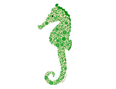 Green Seahorse Notecard