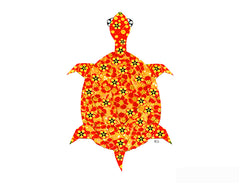 Long Life Turtle Notecard