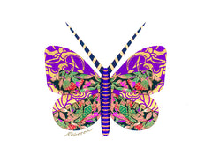 Mardi Gras Butterfly Notecard