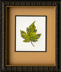 Original Paper Folded Spring Flowering Maple Leaf
