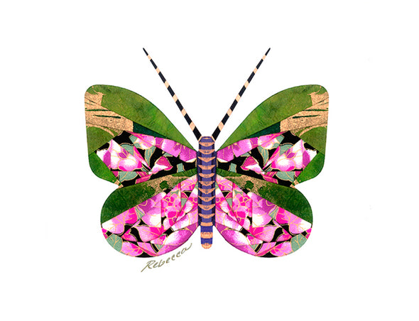 Raspberry Lime Butterfly Notecard