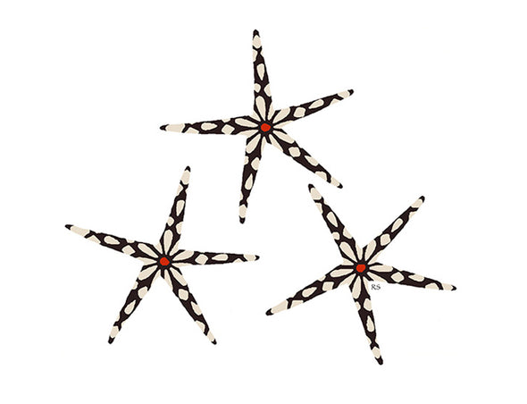 Sea Stars Notecard