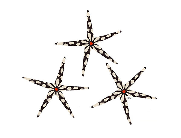 Sea Stars Notecard